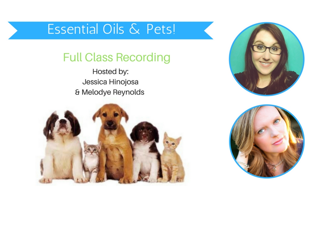 55 HQ Pictures Essential Oils And Pets Book / Is Lavender Essential Oil Safe for Pets? - CBD Dog Health