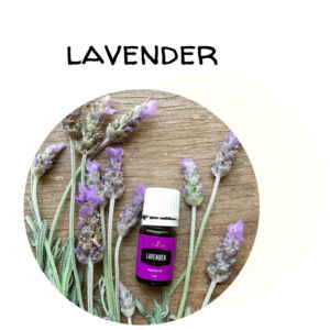 young living lavender oil